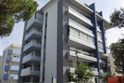 CIMG0648