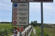 10 CIMG0581