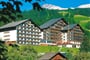 Alpenhotel Dachstein*** Bad Goisern