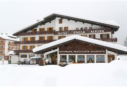 Hotel Stella Alpina *** - Falcade