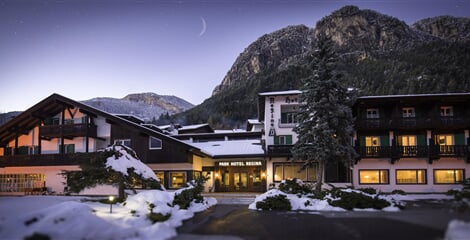 Hotel Regina delle Dolomiti ** - Panchia