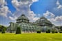 schonbrunn palmovy sklenik