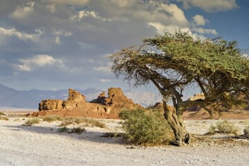 Park Timna Eilat 3