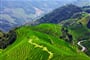 Čína - rýžové terasy Longji