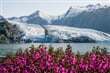 USA - Aljaška, ledovec Portage