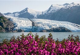 USA - Na cestě divokou Aljaškou s lehkou turistikou