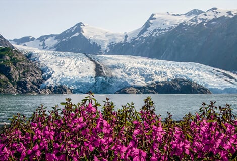 USA - Na cestě divokou Aljaškou s lehkou turistikou