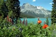 Kanada - jezero Emerald Lake, národní park Yoho