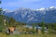 Kanada - národní park Jasper