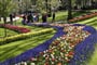Keukenhof 1