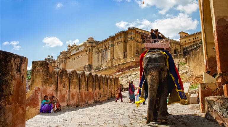 Indie - Amber - sloni