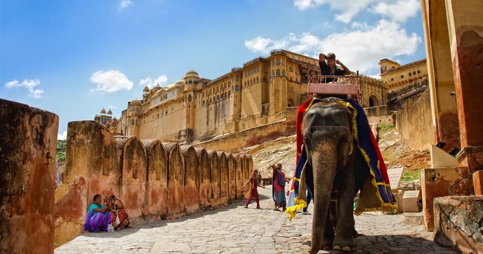 Indie - Amber - sloni