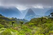 Réunion - národní park