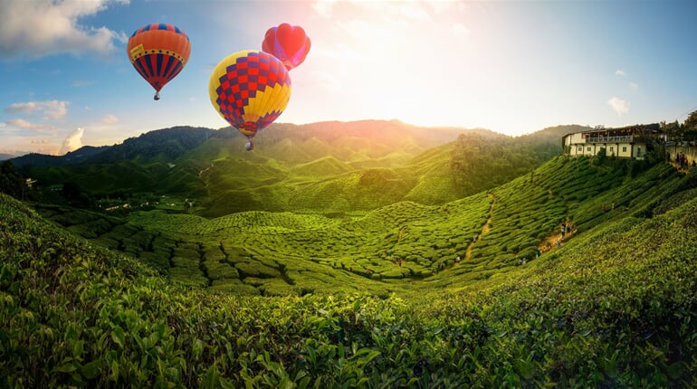 Malajsie - pohoří Cameron Highlands
