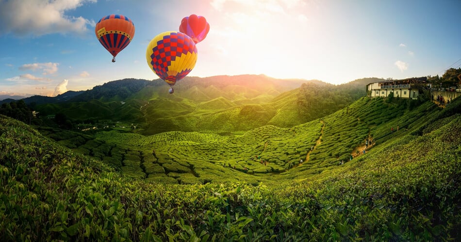 Malajsie - pohoří Cameron Highlands