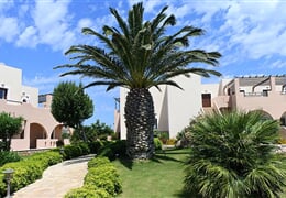 Afiartis - Hotel Irini Beach