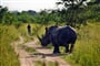 Uganda_Ziwa_Rhino_Sanctuary_shutterstock_239480149