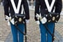 Dánsko - Amalienborg garda