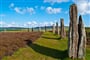 Skotsko - Orkneje - Ring of Brodgar