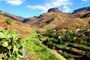 Gran Canaria - ostrov věčnosti