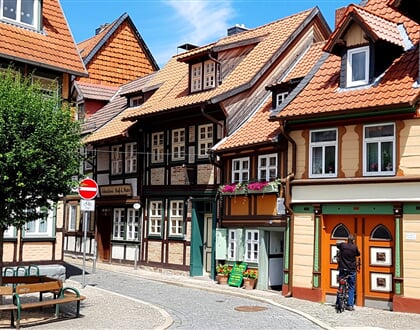 Nimecko Quedlinburg2