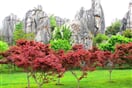Eína   Stone   Forest