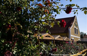 Badacsonytomaj - Penzion Borbarátok