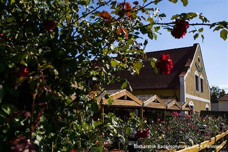 Badacsonytomaj - Penzion Borbarátok