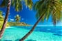 Palm trees on a tropical beach with a blue sea on Moorea, Tahiti island_shutterstock_330839996