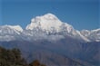Dhaulágirí (8 167 m) při pohledu z nejvyššího bodu našeho putování (3 200 m).