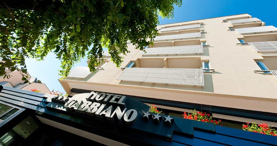 Gabbiano 2