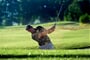 golf1
