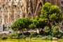 Poznávací zájezd Španělsko - Barcelona - Sagrada Familia