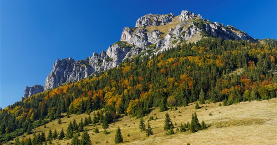 Slovensko Malá Fatra Rozsutec