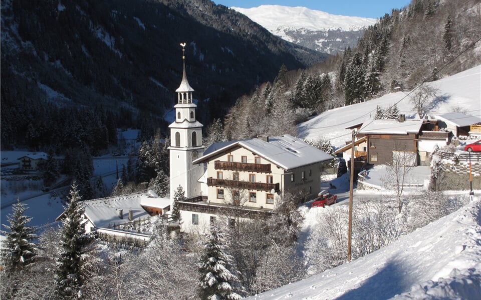 Foto - Pitztal - Alpenrose