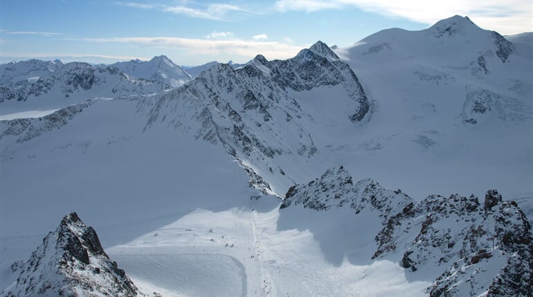 Foto - Pitztal - Alpenrose
