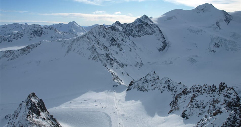 Foto - Pitztal - Alpenrose