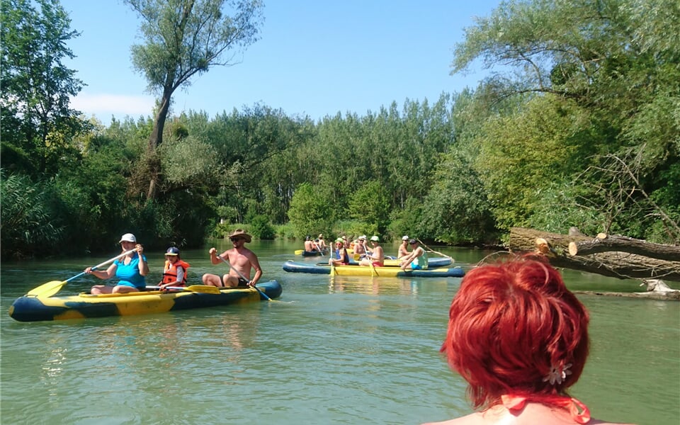 Foto - Dunaj - 6denní voda  - vnitrozemská delta