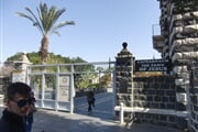Capernaum 0
