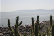Capernaum Galilejske jezero
