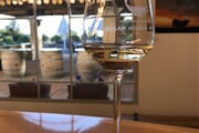 Golany a vino 1