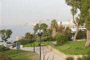Jaffa 2