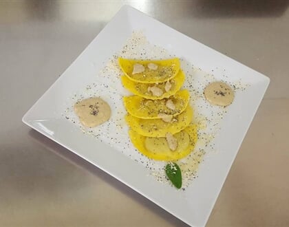 Aurora Saviner 2019 (14)