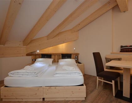 Park Hotel Avisio, Soraga di Fassa 2018 2019 (5)