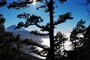 Tenerife © Foto: Honza Haruda, archiv CK Kudrna
