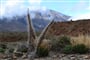 Tenerife © Foto: Marek Jedlička, archiv CK Kudrna