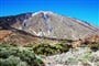 Tenerife © Foto:Jiří Sláma, archiv CK Kudrna