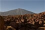 Tenerife © Foto: Marek Jedlička, archiv CK Kudrna