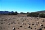 Tenerife © Foto:Jiří Sláma, archiv CK Kudrna