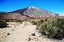 Tenerife © Foto:Jiří Sláma, archiv CK Kudrna